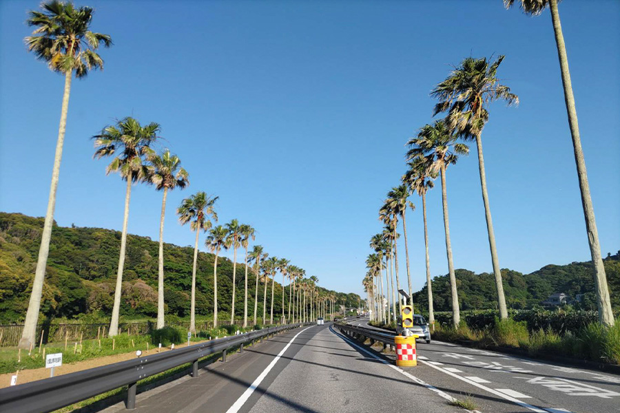 お車でお越しの場合